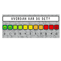 Lifeskill tjekliste - Hvordan har du det? - 11 felter