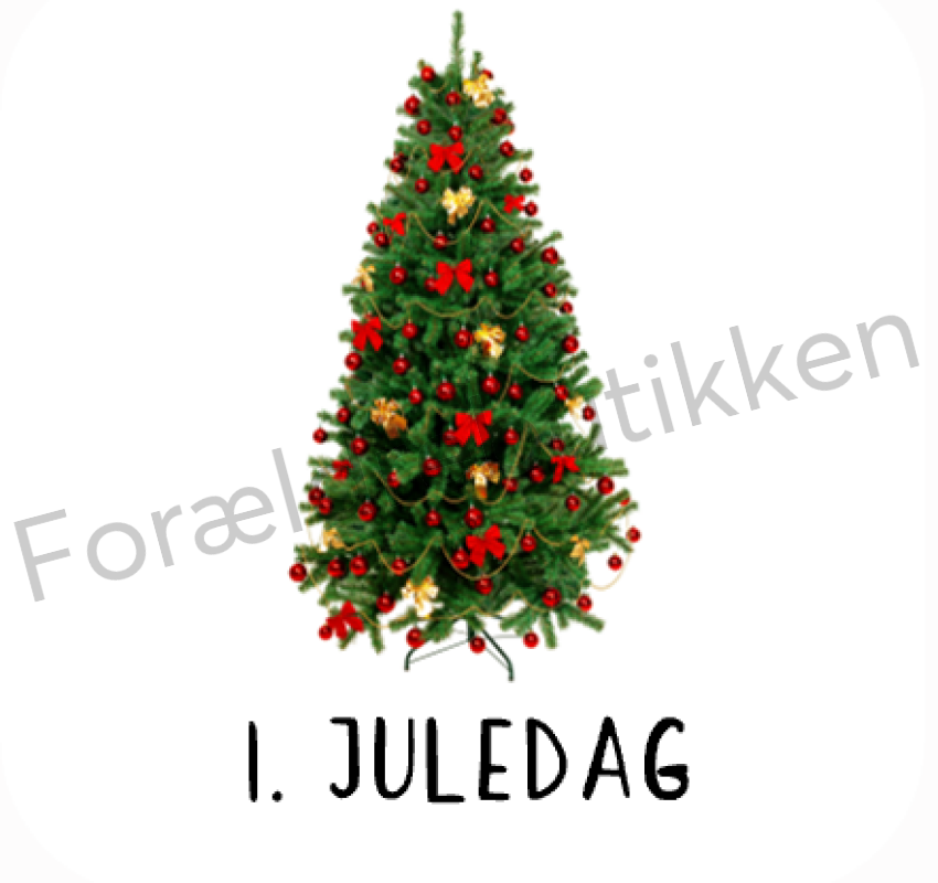 Piktogram Brik - 1. Juledag Pædagogisk Legetøj