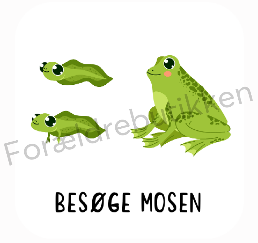 Piktogram Brik - Besøg Mosen Pædagogisk Legetøj