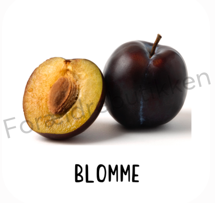 Piktogram Brik - Blomme Pædagogisk Legetøj