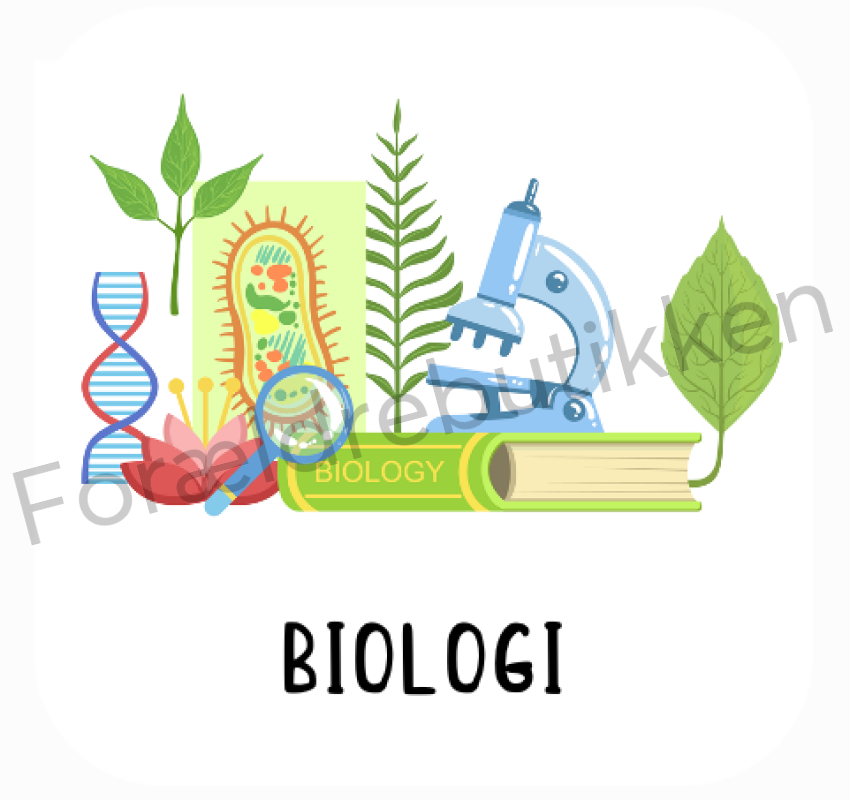 Piktogram Brik - Biologi Pædagogisk Legetøj