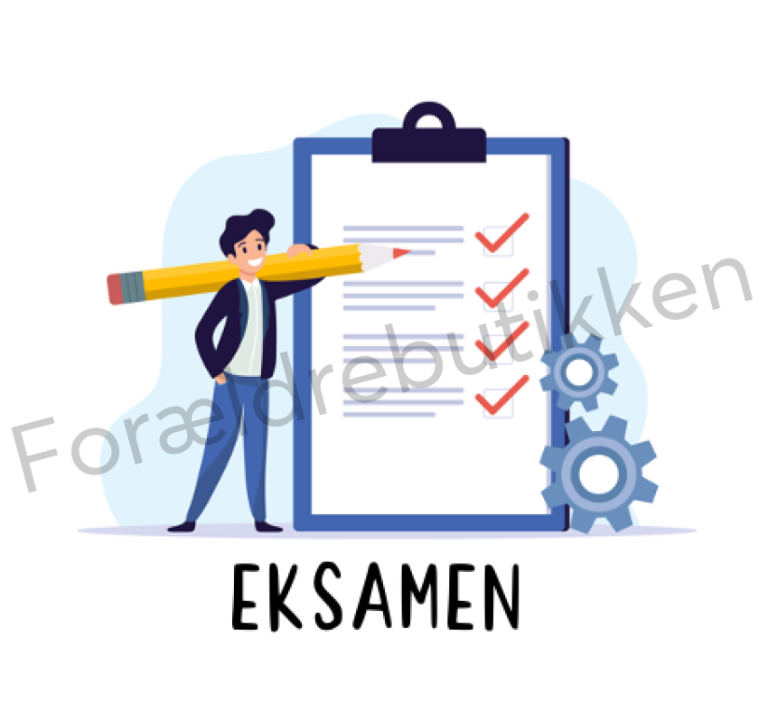 Piktogram Brik - Eksamen Pædagogisk Legetøj