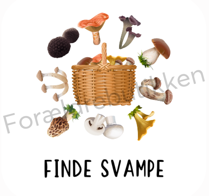 Piktogram Brik - Finde Svampe Pædagogisk Legetøj
