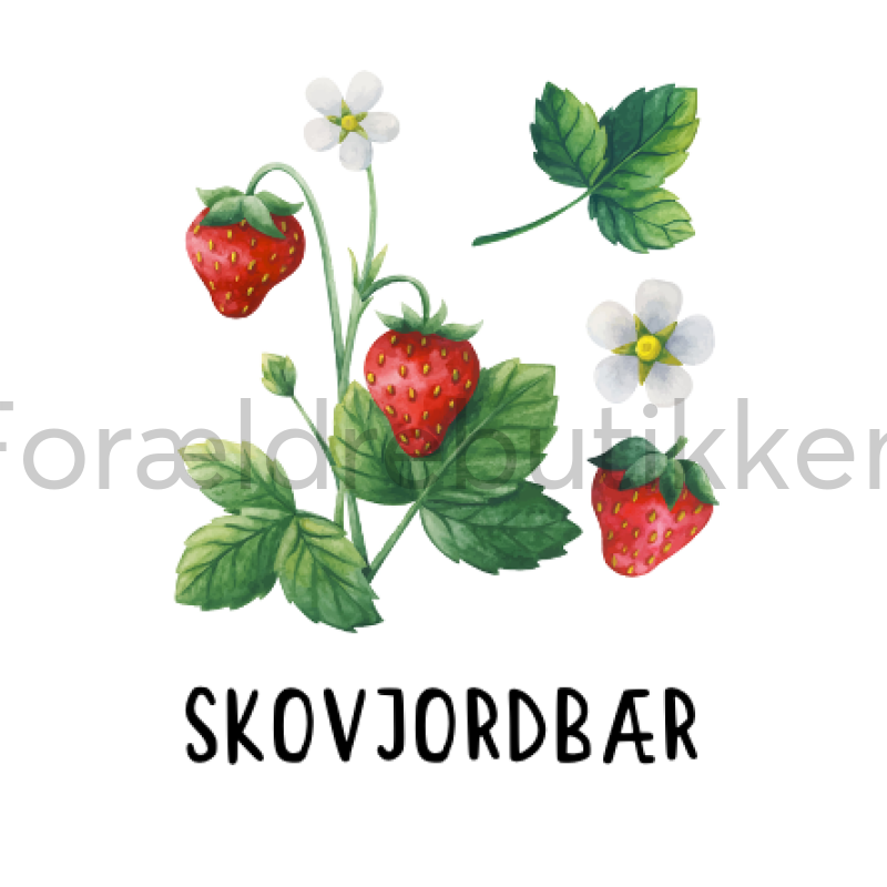 Piktogram Brik - Skovjordbær Pædagogisk Legetøj