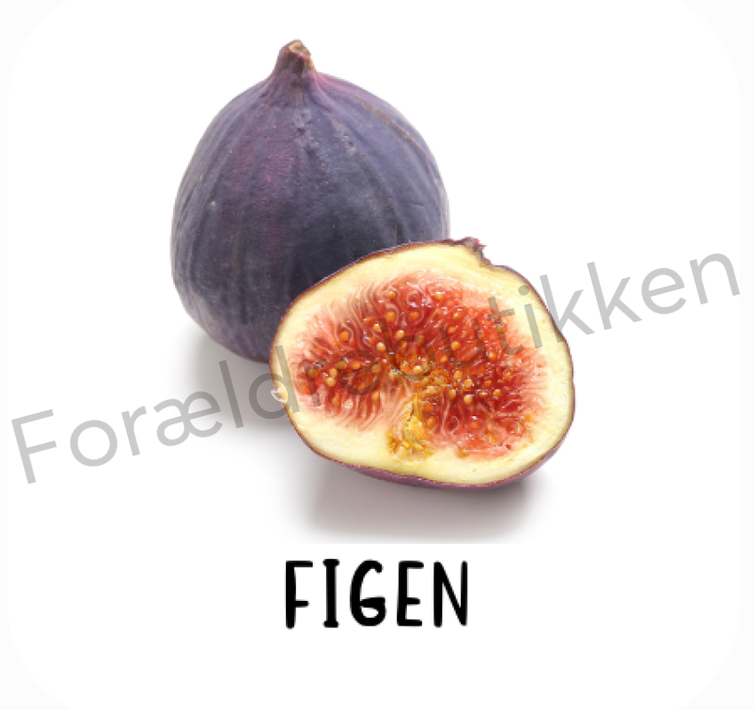 Piktogram Brik - Figen Pædagogisk Legetøj