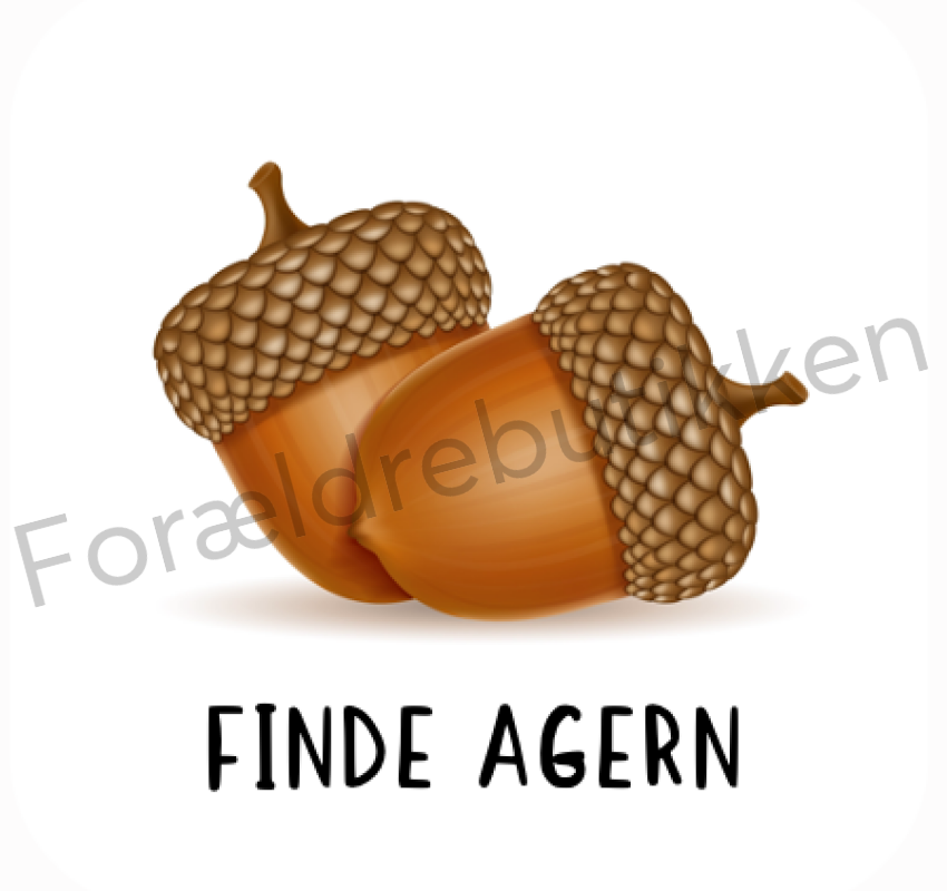 Piktogram Brik - Finde Agern Pædagogisk Legetøj
