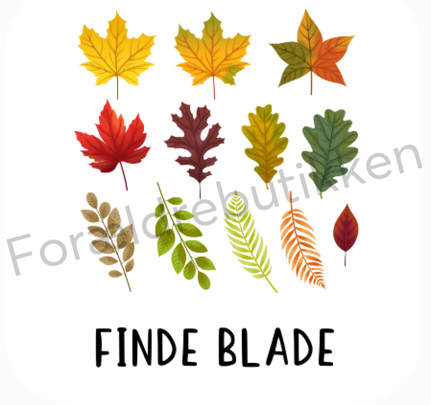 Piktogram Brik - Finde Blade Pædagogisk Legetøj
