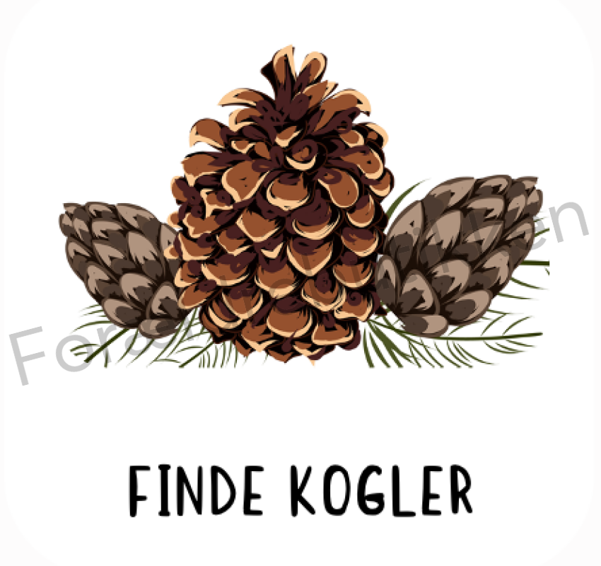 Piktogram Brik - Finde Kogler Pædagogisk Legetøj