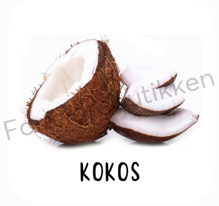 Piktogram Brik - Kokos Pædagogisk Legetøj