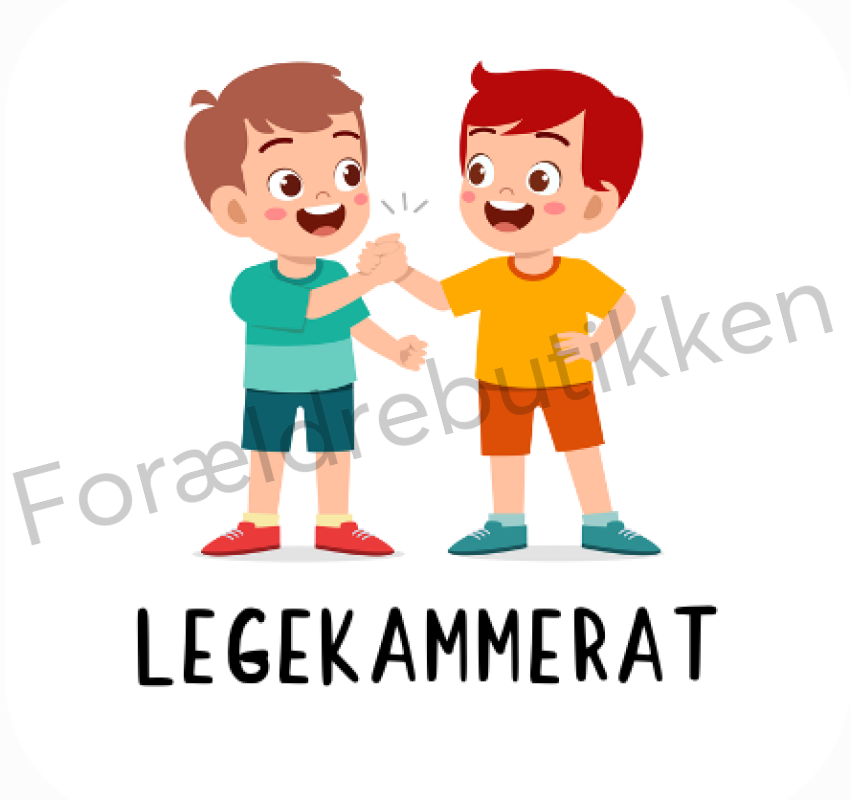 Piktogram Brik - Legekammerat Pædagogisk Legetøj