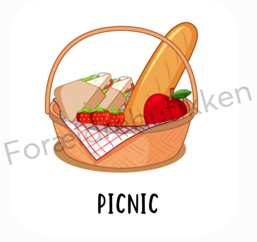Piktogram Brik - Picnic Pædagogisk Legetøj