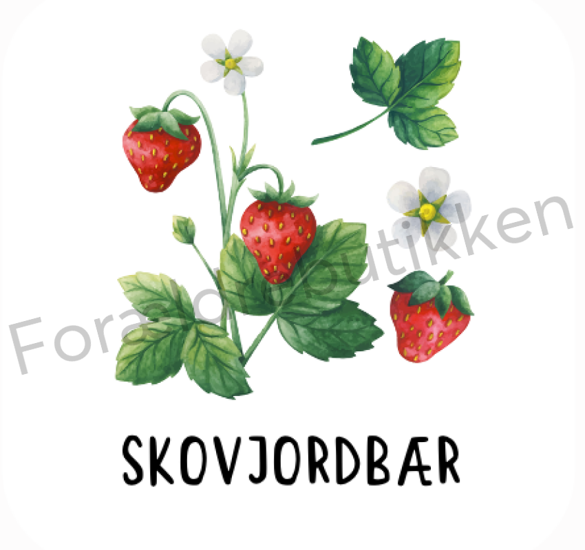 Piktogram Brik - Skovjordbær Pædagogisk Legetøj