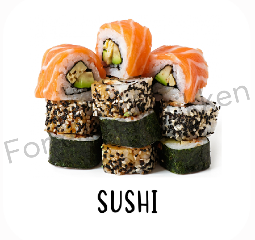 Piktogram Brik - Sushi Pædagogisk Legetøj