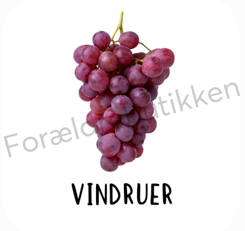 Piktogram Brik - Vindruer Pædagogisk Legetøj